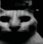 The Crazy Kids On Roblox