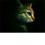 GreenClan