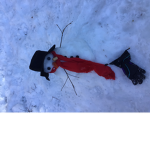 The best ### and hello my name is Izzy with a z