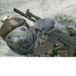 The army of seals