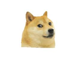 Doge city