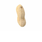 Penuts Salvation Group