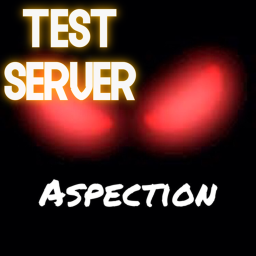 Aspection Testing Server