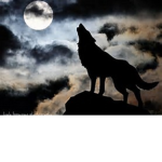 Creatures of the Moon