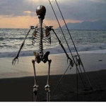 Skull trooper