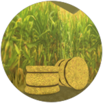 Completed Sublevel: Corn Maze