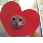 ADDOXXQQ