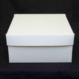 Stuck In A Box Game
