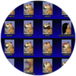 Advanced Expressions Chomik