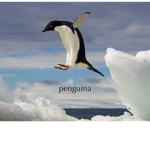 Penguina