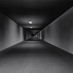 the hallway