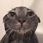 The V0ID_tacocat cmmunity