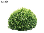 BUSH NATION 8
