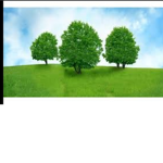 Giga Chad (può entrare solo chi è un vero albero)