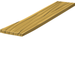 The Plank Squad