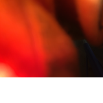 Dragon legends SDS