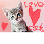 Join group if you love cats