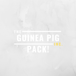 Guinea Pig Pack! Hang Out! (BETA)
