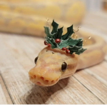 Little Snek Fans