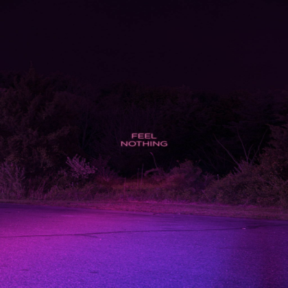purple Roblox decal