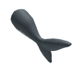 Great White Shark Tail - Shark Week 2024