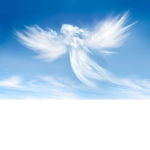 | The Angel Army |