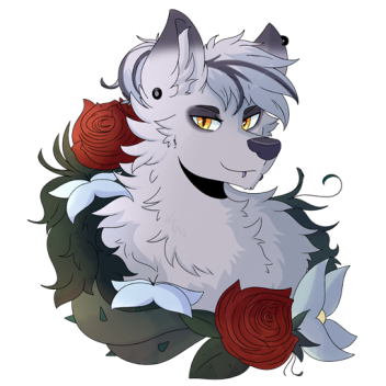 Welcome to my profile, stalker! ^^