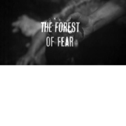 Forest of Fear [BETA]