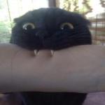 biteme