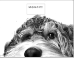 Monts&Me