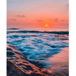 vscobeachboutique