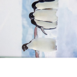 Penguin unite club