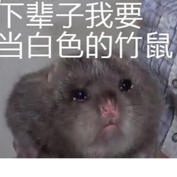 吃竹鼠模擬器2019