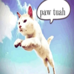 paw tuah
