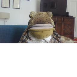 the toad game