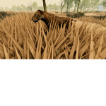 Dawn of Mammals