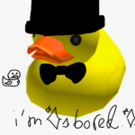 Duckie Studiozz