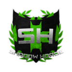 Shadow Academy 