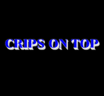 Crips north bronx