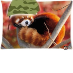 Red panda commandos