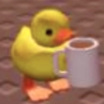 The Duck Neighborhood