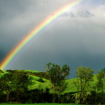 Leprechaun UGC