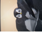 Penguin FoLand