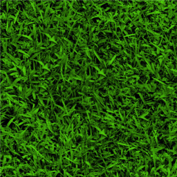 Big yard