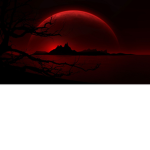 <*>Aesthetic<*>