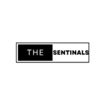 The Sentinals Studios