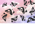 Crazy Panda’s