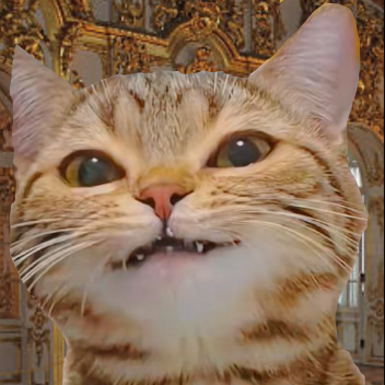 ♢♡♧♤⁂✪☼ℛ𝒶𝒾𝒹☼☽✰✰⁂シ