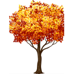 The aesthetic tree!