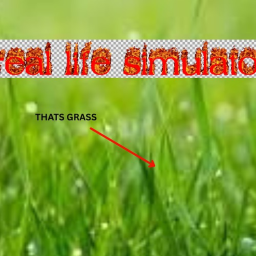 real life simulator